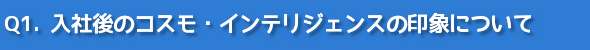 コスモインテリジェンス 新卒インタビュー